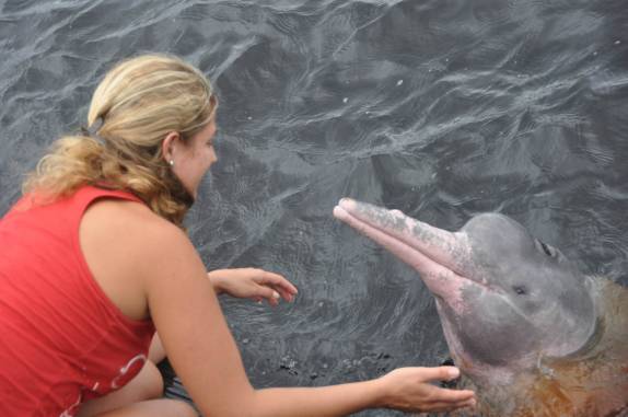 Admirando o Boto Cor de Rosa, em Novo Airão - AM